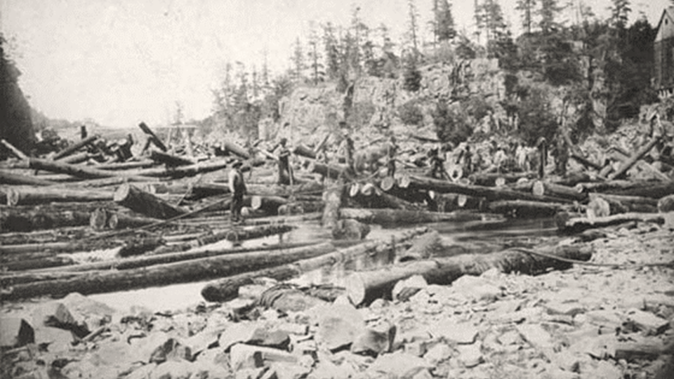 Logging at Stillwater Lake